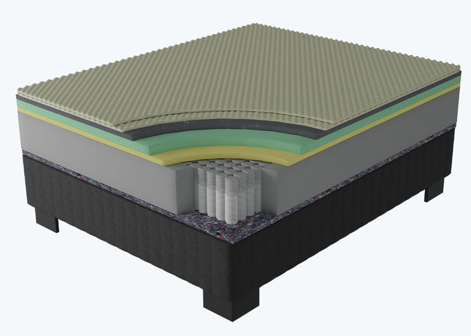 Raino cross section